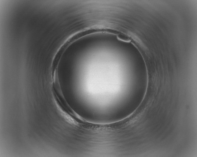 X0000070240934200606091331