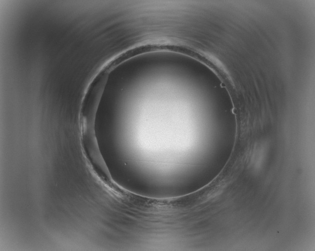 X0000070240935200606091331