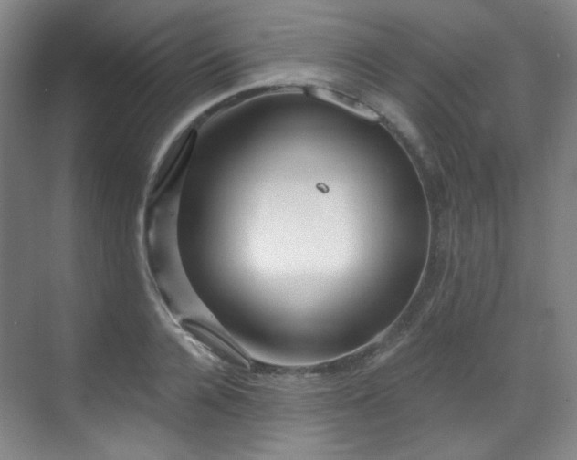 X0000070240936200606091331