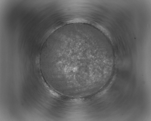 X0000070240937200606091331