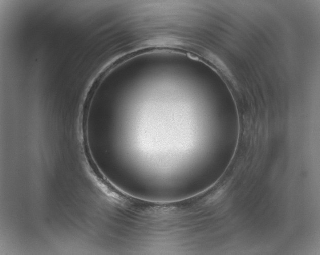 X0000070240939200606091331