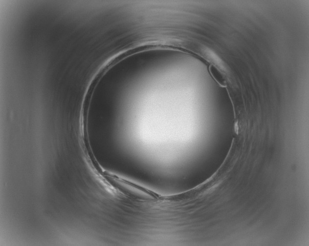 X0000070240940200606091331