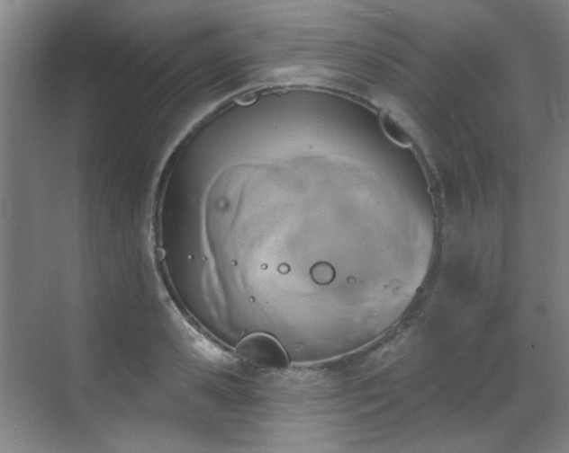 X0000070240941200606091331