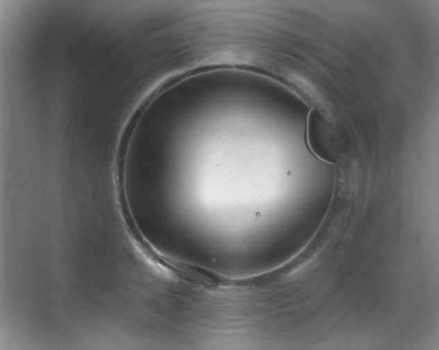 X0000070240942200606091331