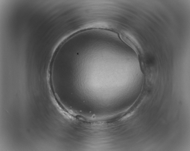 X0000070240944200606091331