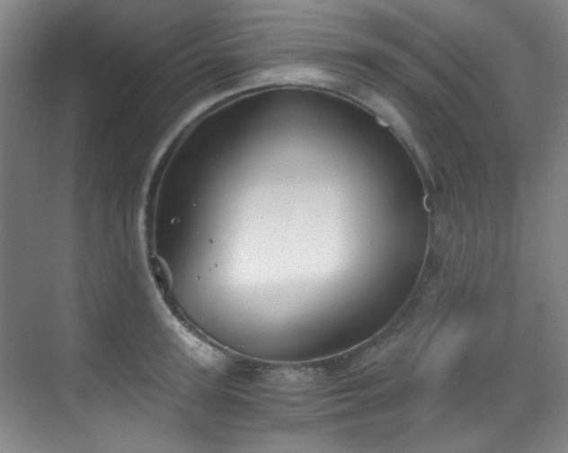 X0000070240947200606091331