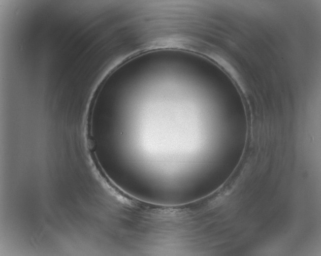 X0000070240949200606091331