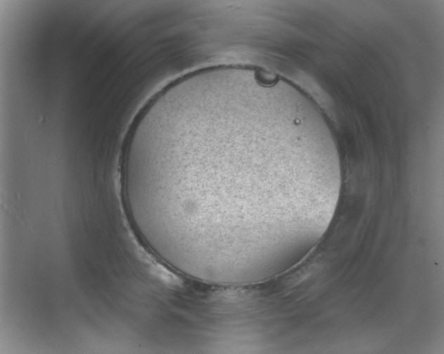 X0000070240950200606091331