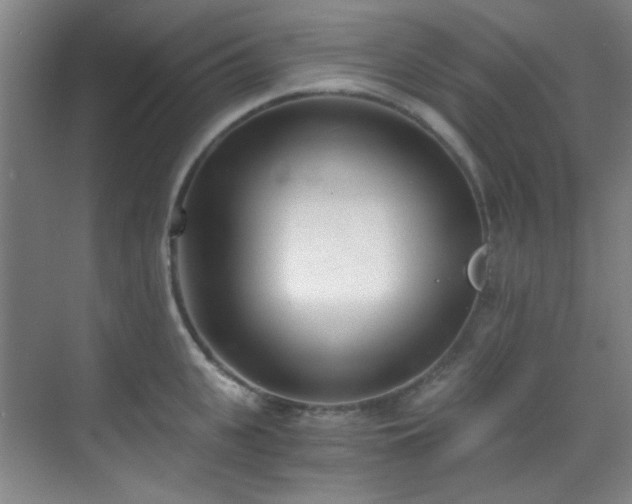 X0000070240951200606091331