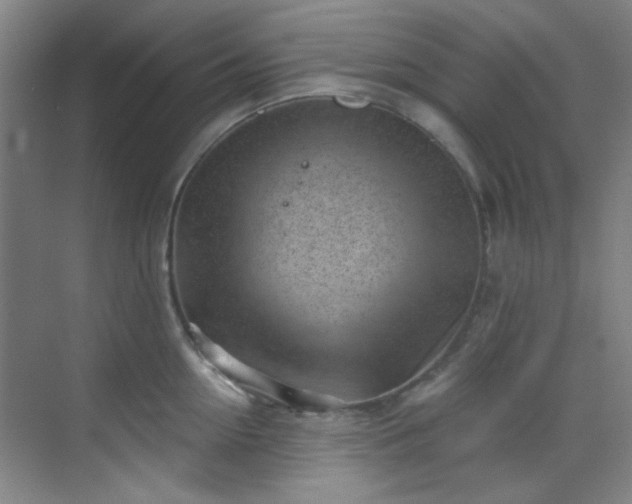 X0000070240954200606091331