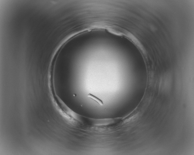 X0000070240955200606091331