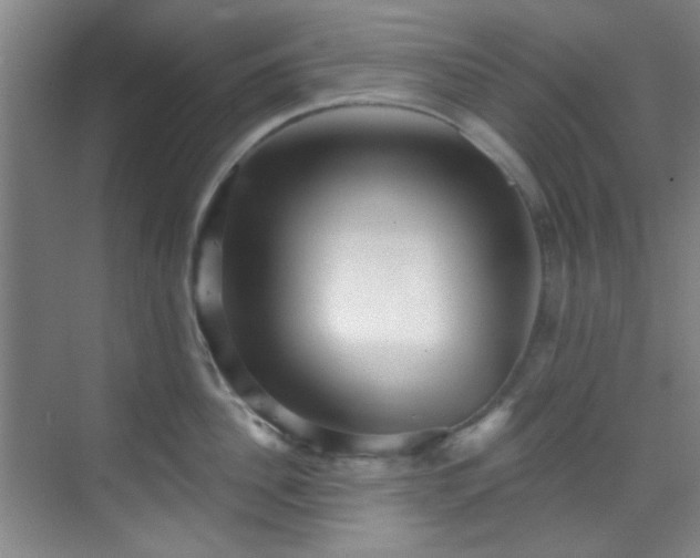 X0000070240956200606091331