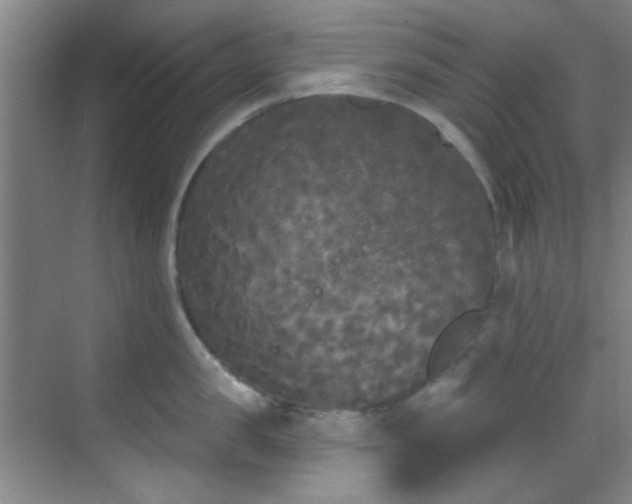 X0000070240957200606091331