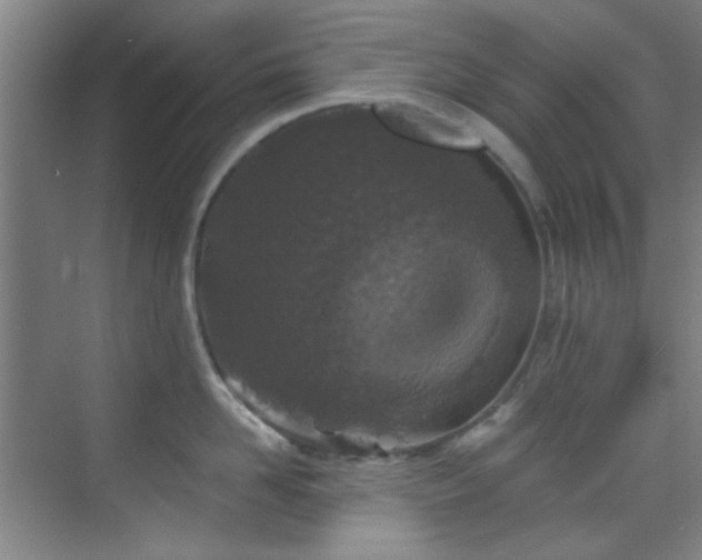 X0000070240958200606091331