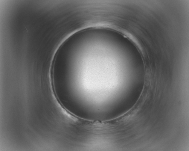 X0000070240959200606091331