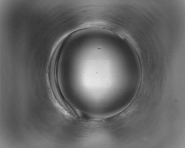 X0000070240960200606091331