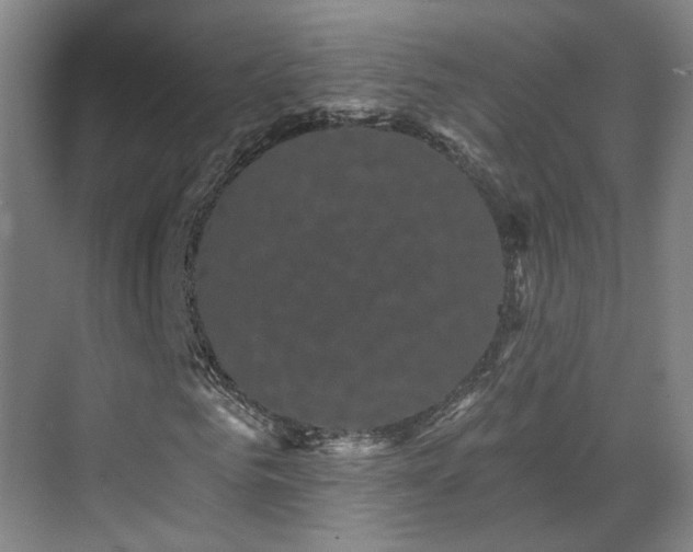 X0000070240961200606091331