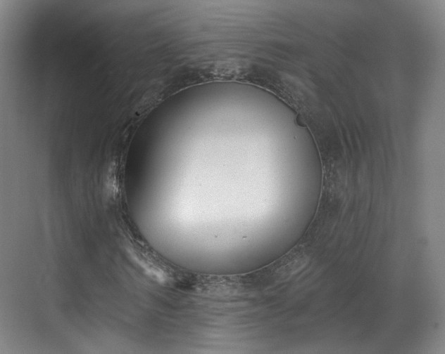 X0000070240962200606091330