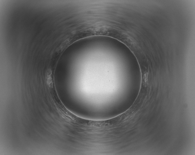 X0000070240963200606091330