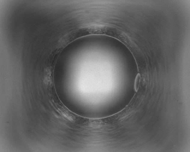 X0000070240964200606091330