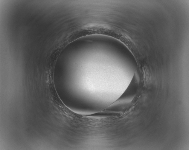 X0000070240965200606091330