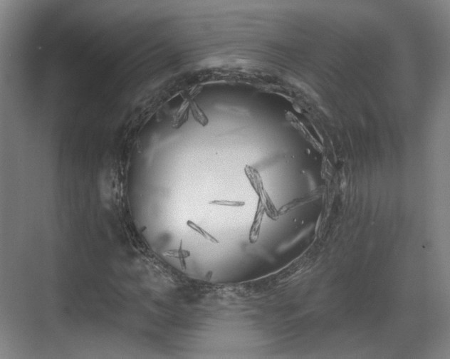 X0000070240966200606091330