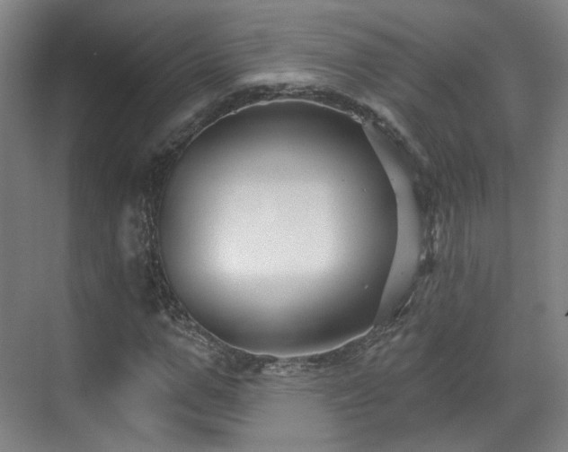 X0000070240967200606091330