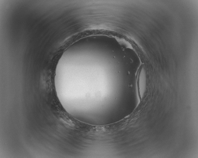 X0000070240968200606091330