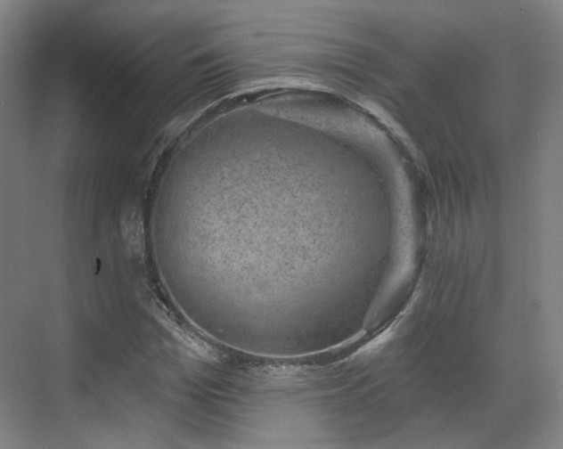 X0000070240969200606091330