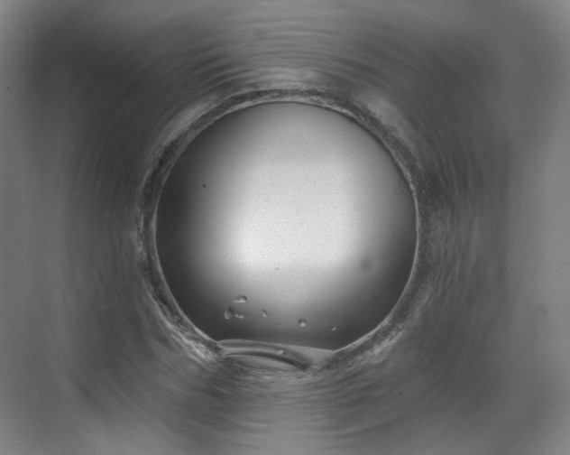 X0000070240970200606091330