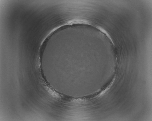 X0000070240973200606091330