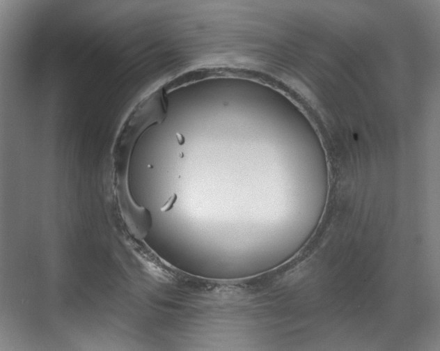 X0000070240974200606091330