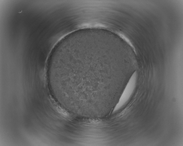 X0000070240975200606091330