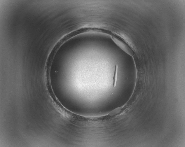 X0000070240976200606091330