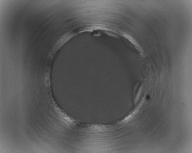 X0000070240977200606091330