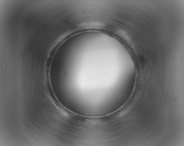 X0000070240978200606091330