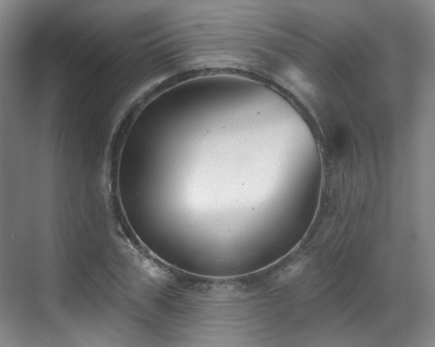 X0000070240979200606091330