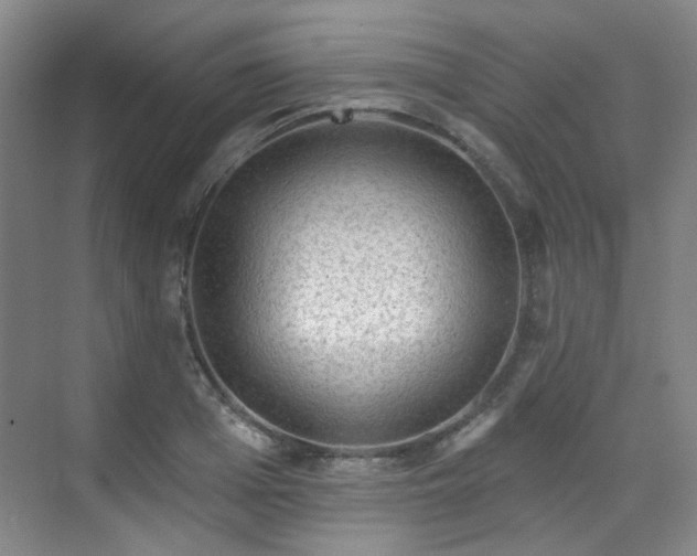 X0000070240985200606091330