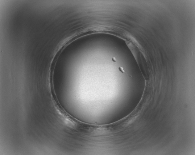 X0000070240986200606091330