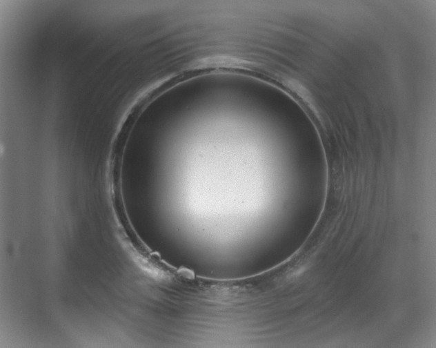 X0000070240987200606091330