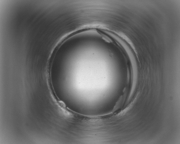 X0000070240989200606091330