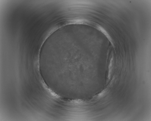 X0000070240994200606091330