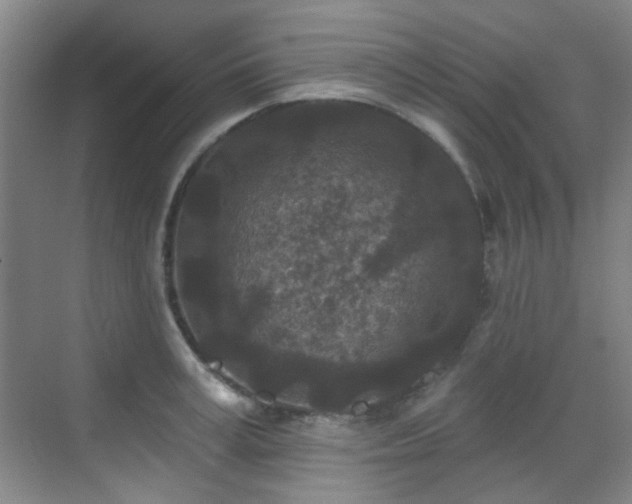 X0000070240995200606091330