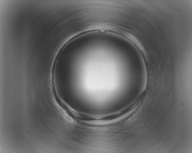 X0000070240996200606091330