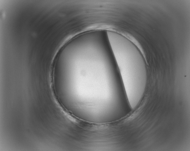 X0000070240997200606091330