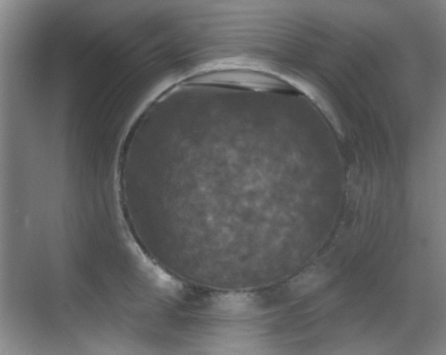 X0000070240998200606091330