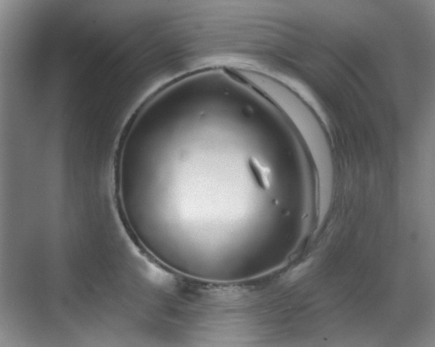 X0000070240999200606091330