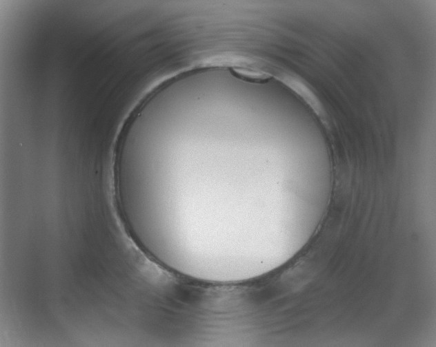 X0000070241000200606091330