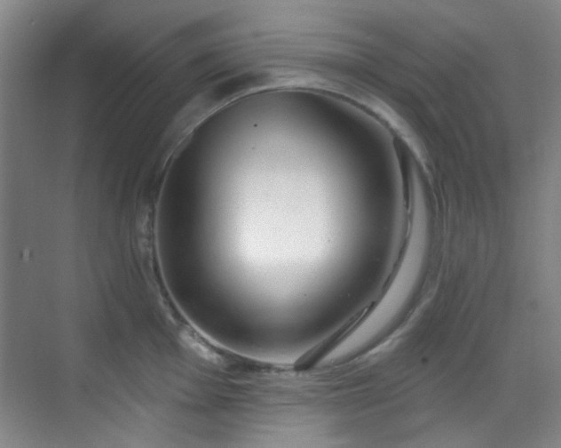 X0000070241001200606091330