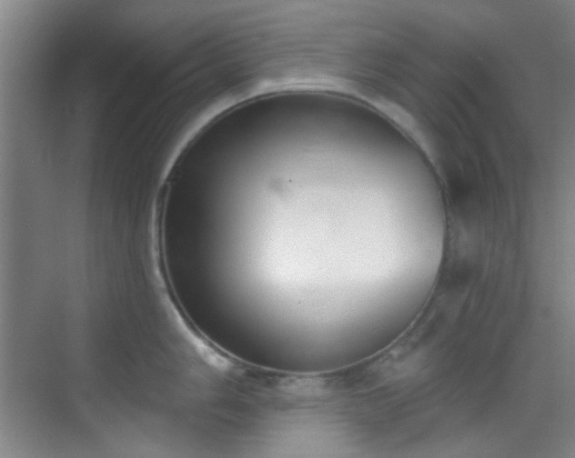 X0000070241006200606091330